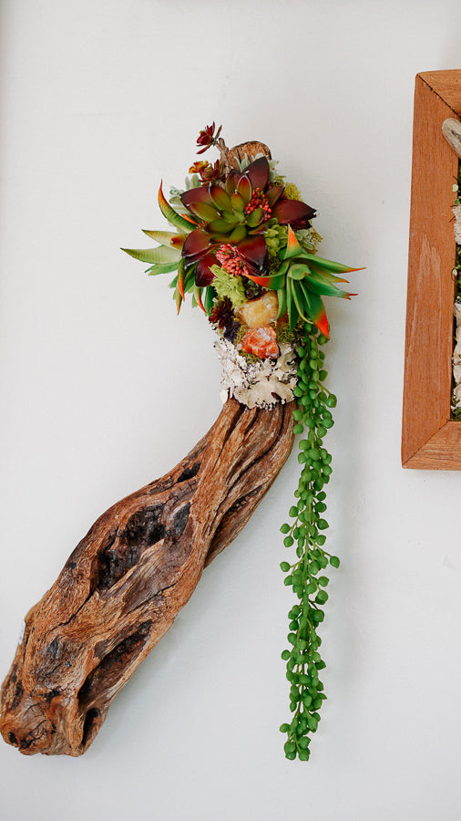 Driftwood & Faux Succulent Wall Piece  Twig And Stone