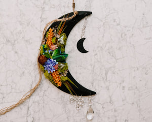Faux Succulent Crescent Moon Wall Hanging