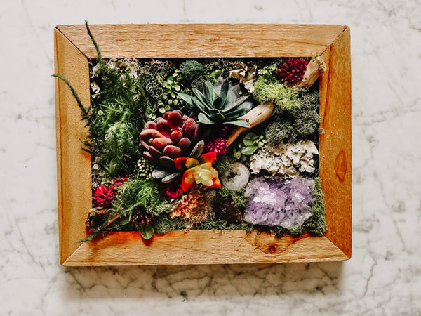 Framed Faux Succulent Wall Piece