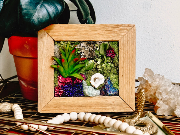 Mini Framed Faux Succulent Wall Piece