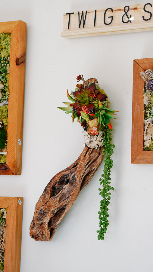 driftwood for succulents Driftwood & Faux Succulent Wall Piece – Twig And Stone