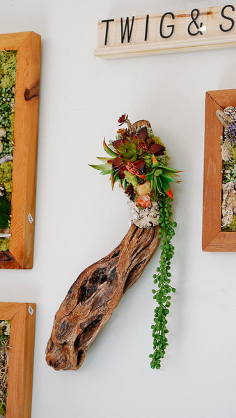 Driftwood & Faux Succulent Wall Piece