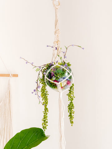 Macrame Hanging Succulent Planter