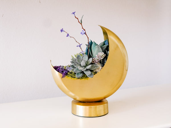 Mini Golden Crescent Moon Planter With Faux Succulents