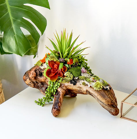 Driftwood & Faux Succulent Accent Piece