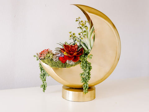 Golden Crescent Moon Planter With Faux Succulents